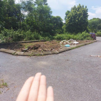 Cơ Hội Đầu Tư Sinh Lời Cao: Bán Lô Góc 78M Phúc Tiến, Giá Siêu Rẻ, Vị Trí Đắc Địa!