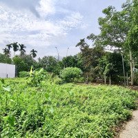 Bán Đất Nền Thổ Cư 104,7M2(4,8X22M), Hẽm 1 Sẹc Đường Lý Thường Kiệt, An Phước, Long Thành, Đồng Nai