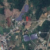 Bán 1.141M2/200M2 Thổ Cư, Mặt Tiền 20M Tại Thôn Dân Hòa, Xã Thuận Hòa, Huyện Hàm Thuận Bắc