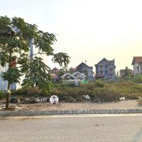 Duy Nhất 1 Lô Lk10 Hướng Đông Vị Trí Đẹp Siêu Hiếm Tdc Áp Tràn Dương Quan Tp Thuỷ Nguyên