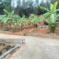 Bán Lô Đất Giá Rẻ Chỉ 280 Triệu - Lô Đất Giá Tốt Cơ Hội Đầu Tư Hiếm Có!