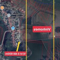 Ô Đất 600M Có 2 Bìa 1 Bìa 300M Thổ Cư Và 1 Bìa Đất Cây Lâu Năm Tặng Thêm 300M Ruộng Trước Mặt