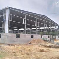 Cho Thuê 3.500m2 – 5.000m2 Nhà Xưởng Trong KCN Bàu Bàng Bình Dương