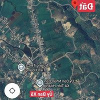 Gia Đình Cần Abán 16 Hecta Xã Tiên Hoàng, Cát Tiên Lâm Đồng. Giá Bán 14 Tỷ