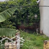 Hàng Hiếm Tại Thôn Đại Phùng Xã Đan Phượng, Chỉ Với 59 Triệu/M2, 108.9M2 Đất Thổ Cư