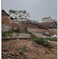 Bán Đất Tại Điểm Nóng Xã Văn Tự, Thường Tín, Hà Nội, 1,55 Tỷ, 50 M2