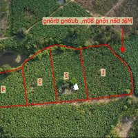 Cần Bán 10.788M2 Đất Trồng Cây Lâu Năm 4 Thửa Liền Kề Xã Cây Gáo, Trảng Bom, Đồng Nai