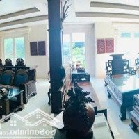 Bán Nhà Mặt Phố Hoàng Văn Thụ, 31 Tỷ, 196.7M2, 10 Phòng Ngủ 11 Vệ Sinh Nha7M2, 10 Phòng Ngủ 11 Vệ Sinh Nha Trang, Khánh Hòa