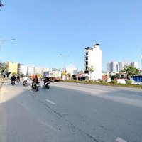Đất Khu 4 Vĩnh Niệm - Mặt Đường Bùi Viện, 168M, Ngang 8.4M, Vỉa Hè 5M, Giá 76 Tr/M - Siêu Hiếm