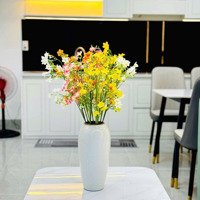 Bán Nhà 2 Tầng Kiệt Đường Điện Biên Phủ (Thanh Khê)