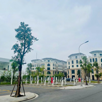 Bán Gấp Shophouse Vinhomes Ocean Park 3 Diện Tích Sử Dụng Gần 300M2 Sàn, Đơn Giá Chỉ 120 Triệu/M2