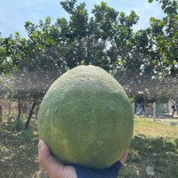 Bán Mảnh Đất Full Thổ Cư Khánh Phú - Khánh Vĩnh