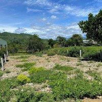 Bán Mảnh Đất Full Thổ Cư Khánh Phú - Khánh Vĩnh