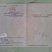 Bán Đất Đường Số 65 Đường Lớn Dân Cư Đông, Gần Trung Tâm Thành Phố Mới Giá Đầu Tư 100M2 Full Thổ