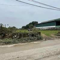 Chủ Gửi Bán 2260M2 Cách Đường Hcm 200M, Mặt Đường Dự Án Resort Dầu Khí, Cách 300M