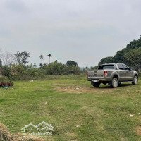 Chủ Gửi Bán 2260M2 Cách Đường Hcm 200M, Mặt Đường Dự Án Resort Dầu Khí, Cách 300M