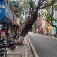 Cho Thuê Cửa Hàng Số 23, Mặt Phố Đội Cấn, Phường Đội Cấn, Ba Đình, Hà Nội, 15 Triệu/Tháng