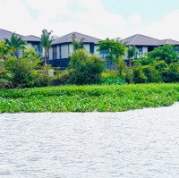 Dinh Thự Ven Sông Khu Đô Thị Waterpoint Phiên Bản Giới Hạn