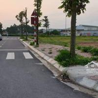 Mặt Đường Đôi, Kinh Doanh Sầm Uất - Tại Khu Đấu Giá Thôn Ngọc Trì, Kim Hoa, Mê Linh, Hà Nội