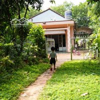 Cc Bán Nhanh Nhà Vườn 18,600M² Đầy Tiềm Năng Tăng Giá Dòng Tiền 30 Triệu/Tháng, Giá Cực Hấp Dẫn