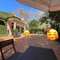 Cc Bán Nhanh Nhà Vườn 18,600M² Đầy Tiềm Năng Tăng Giá Dòng Tiền 30 Triệu/Tháng, Giá Cực Hấp Dẫn