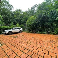 Cc Bán Nhanh Nhà Vườn 18,600M² Đầy Tiềm Năng Tăng Giá Dòng Tiền 30 Triệu/Tháng, Giá Cực Hấp Dẫn