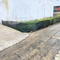 Cc Cần Bán! Lô Góc - Ngõ Thông, Ô Tô -Diện Tích57M2 - Thư Dương, Thư Phú