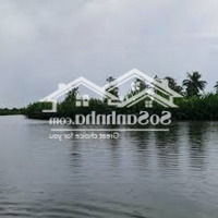 Cần Bán Đất Vườn Phú Đông Mặt Sông, Giá Rẻ 800 Ngàn/M2, Sổ Hồng Riêng, Rẻ Hơn Thị Trường 40%