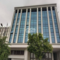 Triệu Việt Vương Cực Hót Đẳng Cấp Bđs Vô Giá Toà 11 Tầng Hiện Siêu Khủng Cực Đẹp. Vị Trí Kim Cương