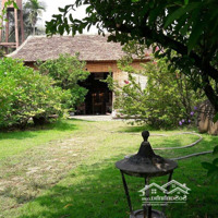 Cần Bán Khu Nhà Vườn 700M2 Giá Chỉ 50 Triệu/M2