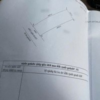 Đất 62M Tái Định Cư A51 Vĩnh Niệm, Ngang 4.3M, Đường 12M, Đông Nam, Giá 63 Tr/M Rẻ Nhất