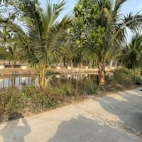 Đất sổ đỏ 400m2 xã Phú Hưng-Ý Yên- Nam Định
