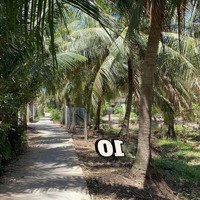 Diện Tích: 129M2 Em Bán Giá Bán 165 Triệu, Cách Sông 100M Xung Quanh Bao Bởi Vườn Dừa Mát Mẻ. Từ Sg Về 65Km