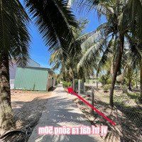 Diện Tích: 129M2 Em Bán Giá Bán 165 Triệu, Cách Sông 100M Xung Quanh Bao Bởi Vườn Dừa Mát Mẻ. Từ Sg Về 65Km