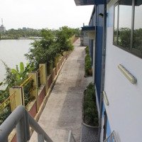 Cho Thuê Kho, Nhà Xưởng, Đất 1443M2, Giá Thỏa Thuận Tại Xã Đại Xuyên, Phú Xuyên, Hà Nội