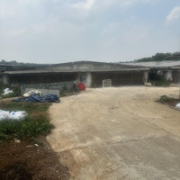 Bán Trại Nuôi Heodiện Tích21.000M2 Ở Đắk Nông