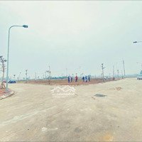 10.5 Tỷ Lô Góc 3 Mặt Thoáng 210M2 Khu Đấu Giá Bạch Đa Kim Hoa Mê Linh Hà Nội 0967522585