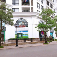 Chính Chủ Bán Shop Chân Đế R2 Royal City, Căn 1 Tầng Ngay Mặt Sảnh, Mặt Đường Lớn, Sổ Lâu Dài.