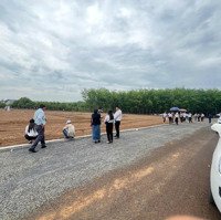 Đất Ngay Khu Công Nghiệp Đường Nhựa Thông Giá Công Nhân