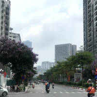 Giảm Sốc 3 Tỷ, Bán Gấp Mảnh Đất Ô Tô Tránh Đỗ Hoàng Quốc Việt, 180M2,Mặt Tiền13,5M, 30 Tỷ - 0868309898