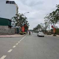 Cần Bán Đất Đấu Giá Cổ Linh Long Biên Hà Nội.