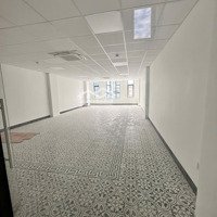 Cho Thuê Toà Nhà Mới Xây 100% Tại Đường Trần Não, Phường An Phú, Quận 2 Tp. Thủ Đức Tp. Hồ Chí Minh