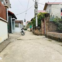 Đất đầu tư 69m2 Thanh Lâm, Mê Linh, 100% đất ở, ô tô đỗ cửa, 33 triệu/m2.