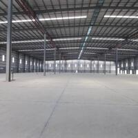 Cho Thuê 3.500m2 – 5.000m2 Nhà Xưởng Trong KCN Bàu Bàng Bình Dương