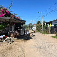 Đất Ninh Hoà, Đất Dân Cắt Bán Giá Rẻ