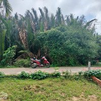 Bán Đất Cẩm Thanh, 18 Triệu, 275M2, Pháp Lý Đầy Đủ, Hướng Nam, Mặt Tiền 10.8M
