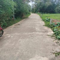 Bán Đất Cẩm Thanh, 18 Triệu, 275M2, Pháp Lý Đầy Đủ, Hướng Nam, Mặt Tiền 10.8M