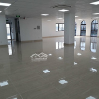 Gấp! Cho Thuê Góc 2 Mặt Tiền Đường Phổ Quang Quận Tân Bình