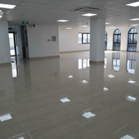 Gấp! Cho Thuê Góc 2 Mặt Tiền Đường Phổ Quang Quận Tân Bình