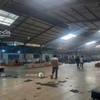 Cho Thuê Kho, Nhà Xưởng 3000M2 Tại Lê Minh Xuân, Bình Chánh, 200 Triệu/Tháng (Giá Chưa Gồm Vat)
